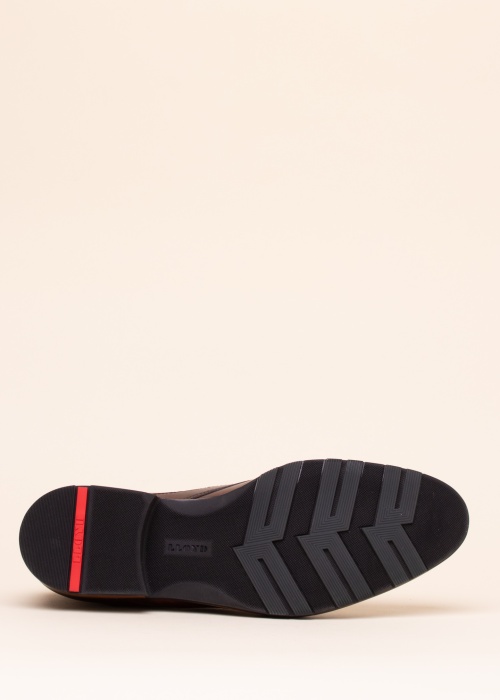 Lloyd puszābaki Jeffrey