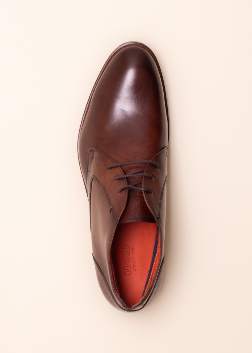 Lloyd puszābaki Jeffrey