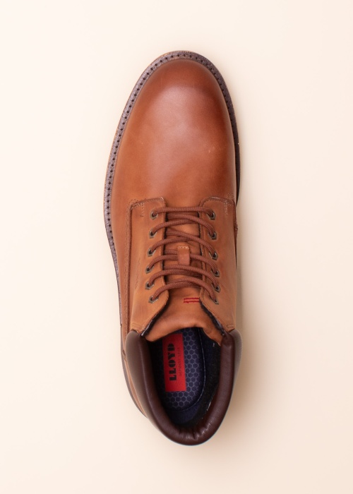 Lloyd ziemas zābaki Varas