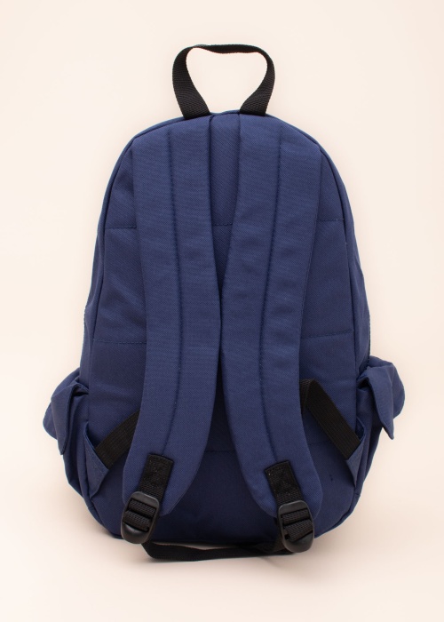 Icepeak mugursoma Gurley