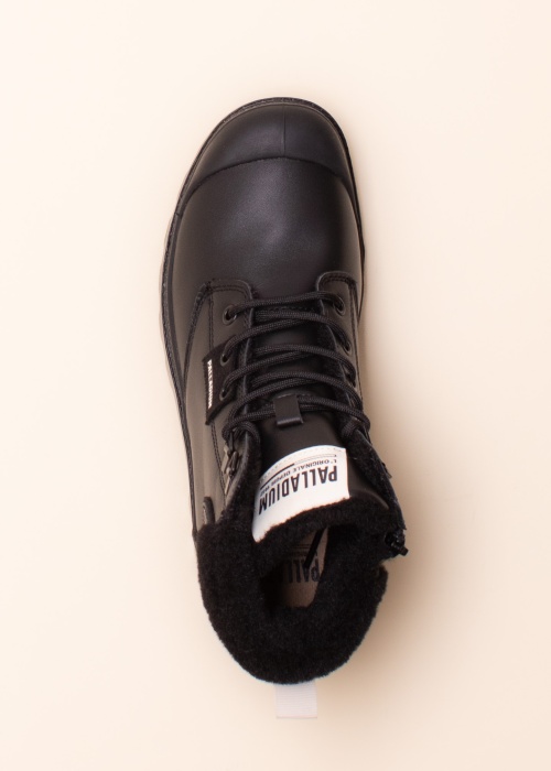 Palladium puszābaki