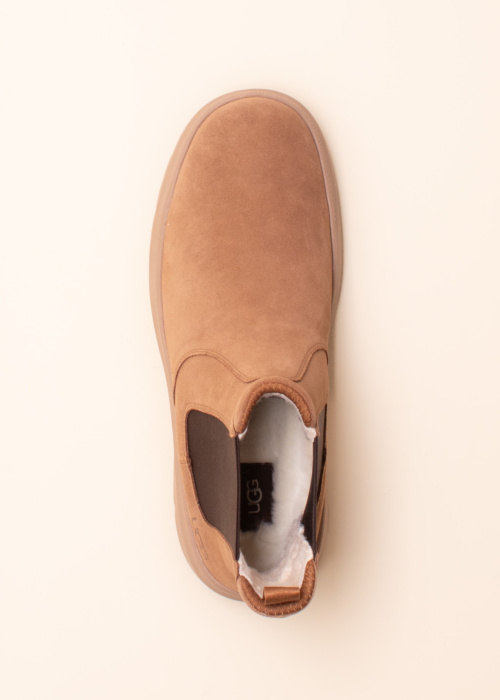 Зимние сапоги Burleigh Chelsea UGG