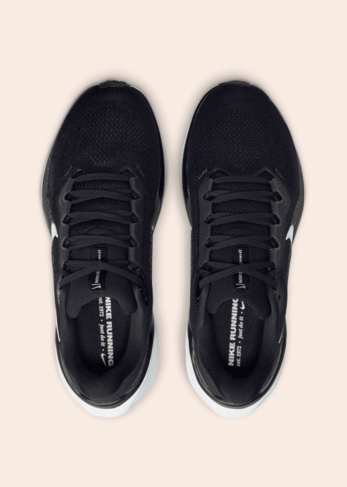 Беговые кроссовки Air Zoom Pegasus 41 Nike