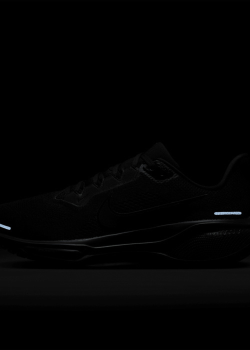 Беговые кроссовки Air Zoom Pegasus 41 Nike