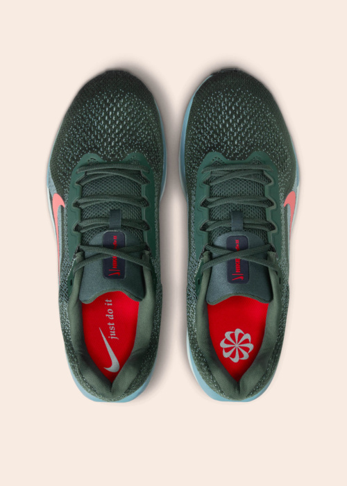 Nike apavi skriešanai Air Winflo 11