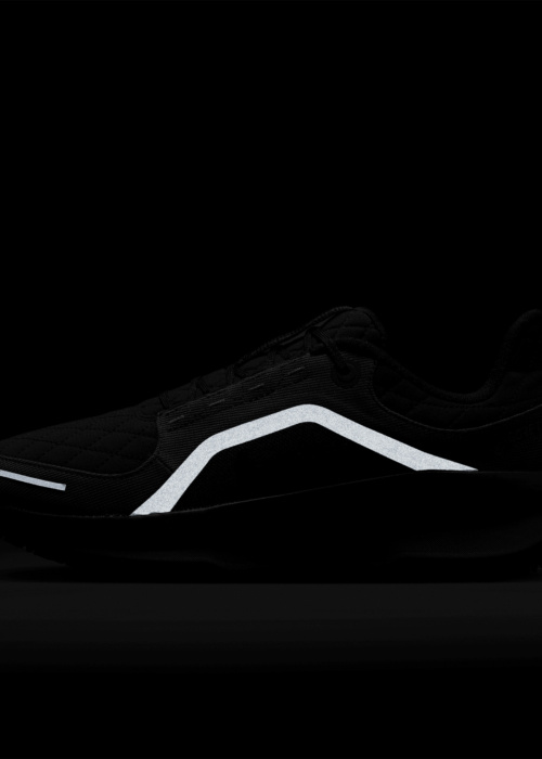 Nike apavi skriešanai Air Winflo 11 Gtx