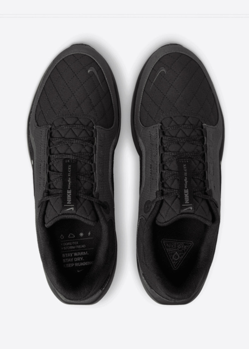 Nike apavi skriešanai Air Winflo 11 Gtx