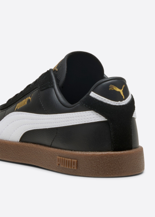 Puma kedas