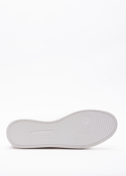 Champion kedas Newman