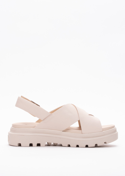 Pallacruise Palladium