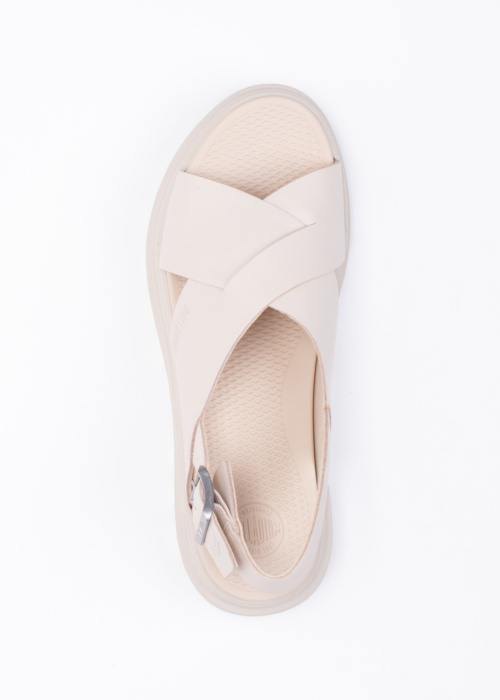 Pallacruise Palladium