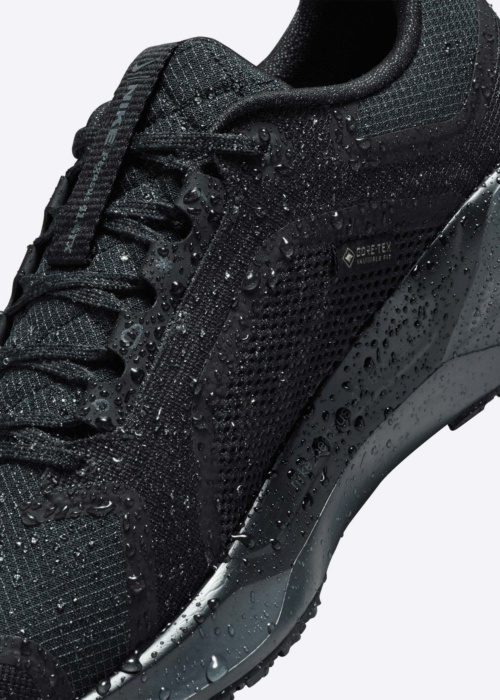 Nike apavi skriešanai W Air Zm Pegasus 41 Gtx