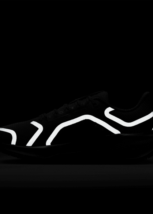 Nike apavi skriešanai W Air Zm Pegasus 41 Gtx