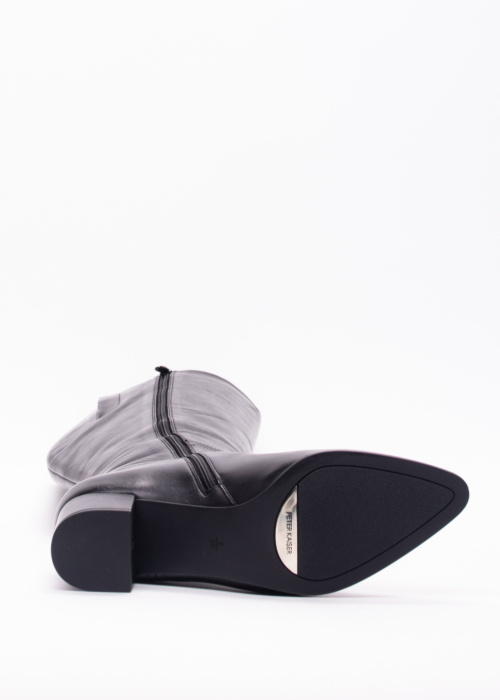 Peter Kaiser zābaki