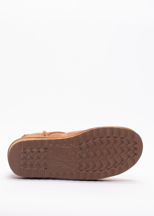 Colors of California puszābaki