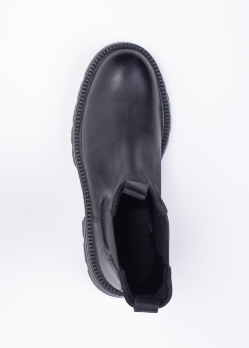 Bullboxer puszābaki