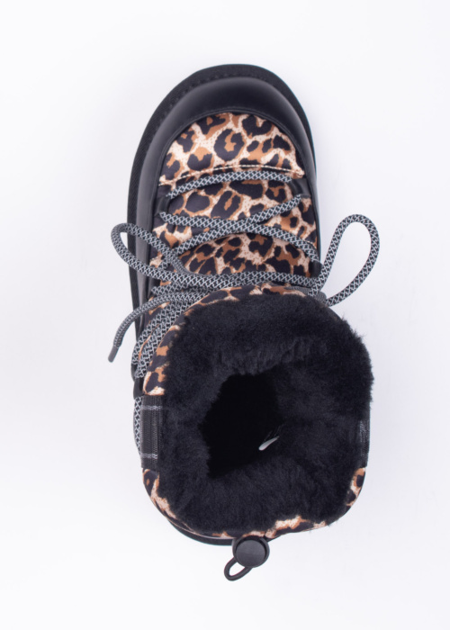 D.Franklin puszābaki