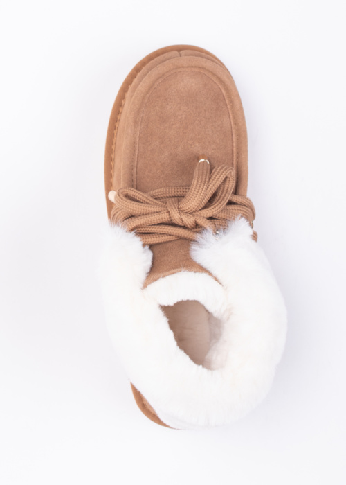 D.Franklin puszābaki