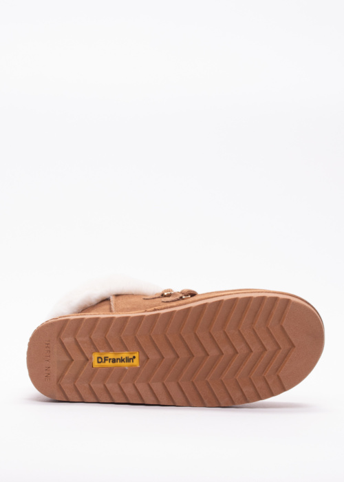 D.Franklin puszābaki