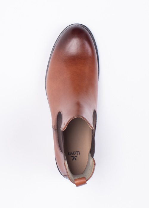 Lloyd puszābaki Dara 315