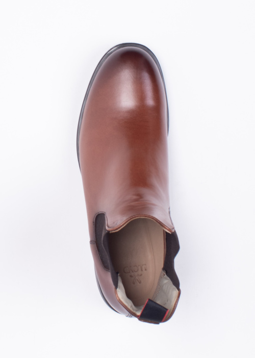 Lloyd puszābaki Mila 315