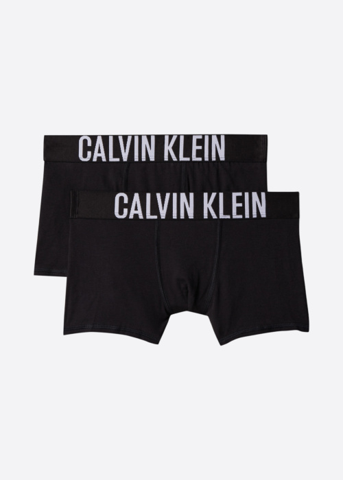 Боксеры 2 Pack Trunk Calvin Klein