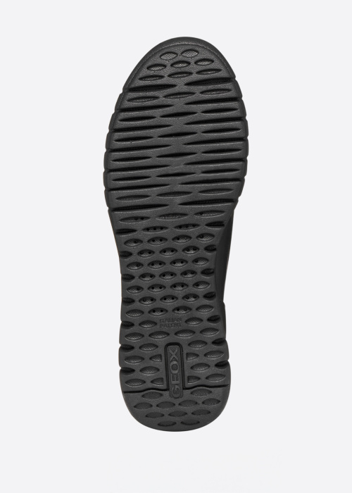 Geox loferi