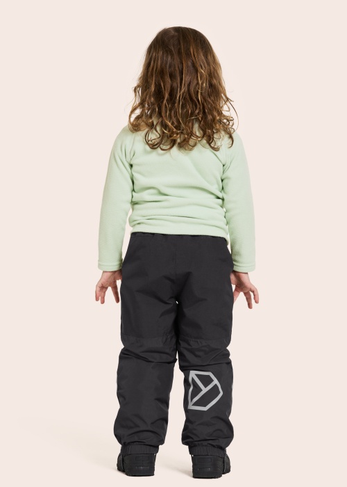 Зимние штаны Narvi 2 Didriksons