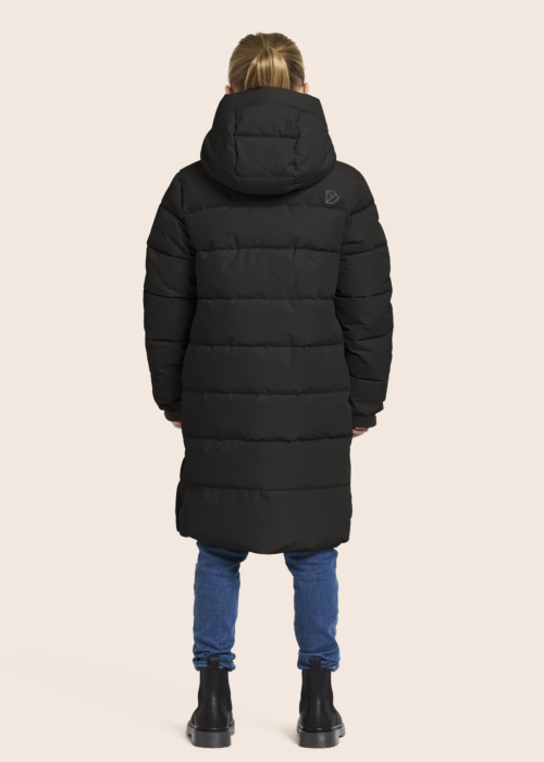 Didriksons ziemas metelis Olivin