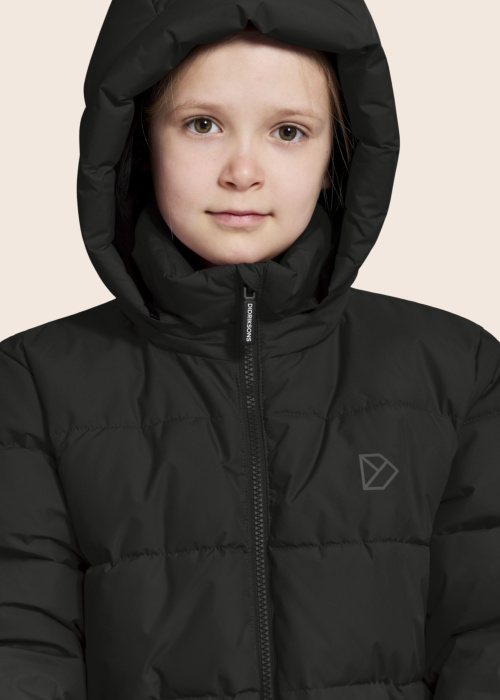 Didriksons ziemas metelis Olivin