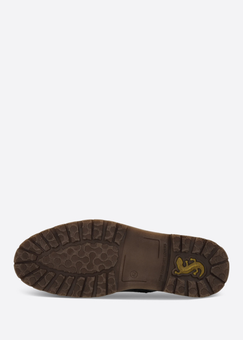 Salamander puszābaki