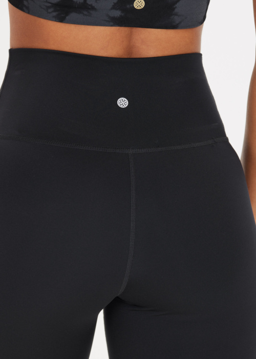 Athlecia legingi Franz