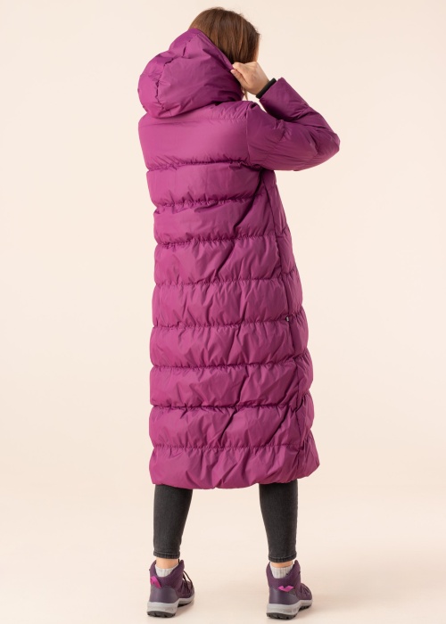 Huppa ziemas metelis Naima