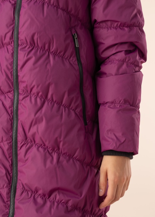 Huppa ziemas metelis Naima