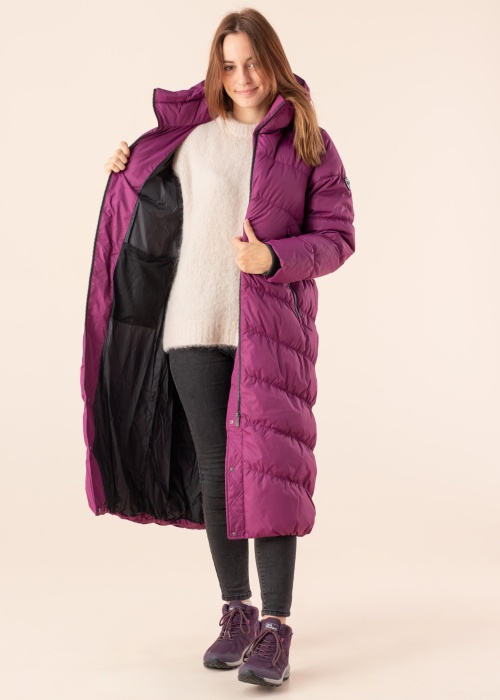 Huppa ziemas metelis Naima