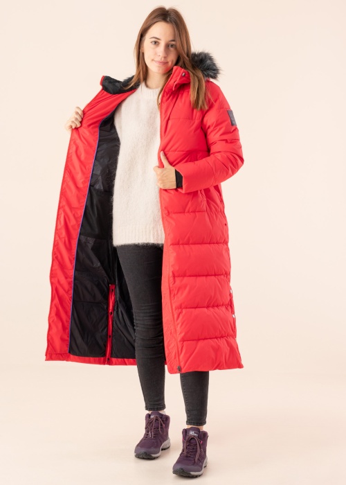 Huppa ziemas metelis Gudrun