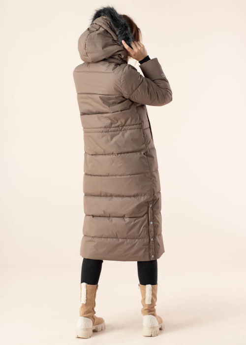 Huppa ziemas metelis Gudrun