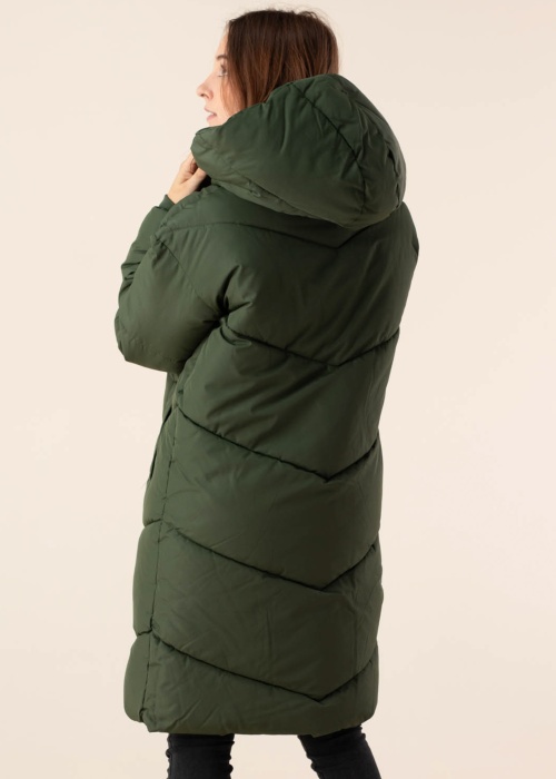 Noisy May ziemas metelis New