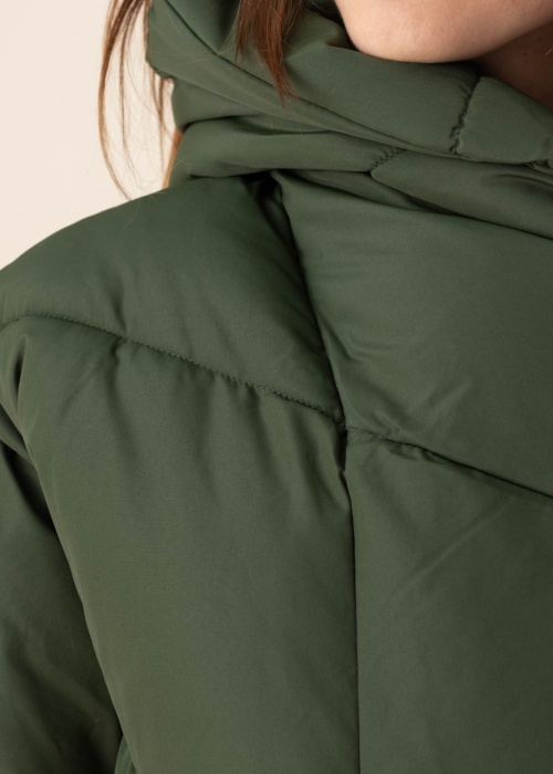 Noisy May ziemas metelis New