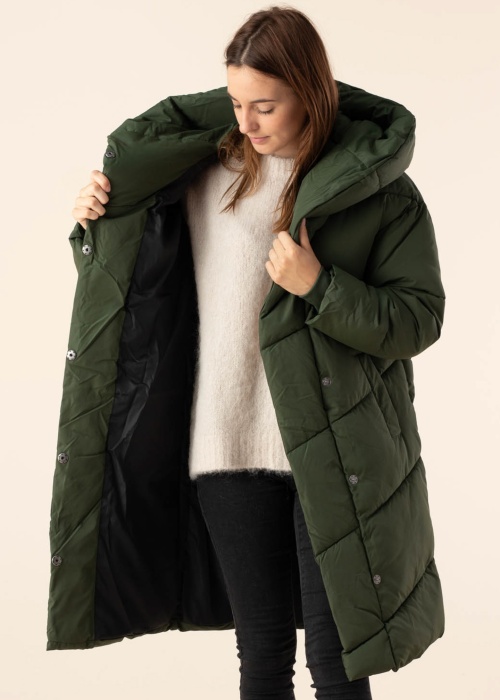 Noisy May ziemas metelis New