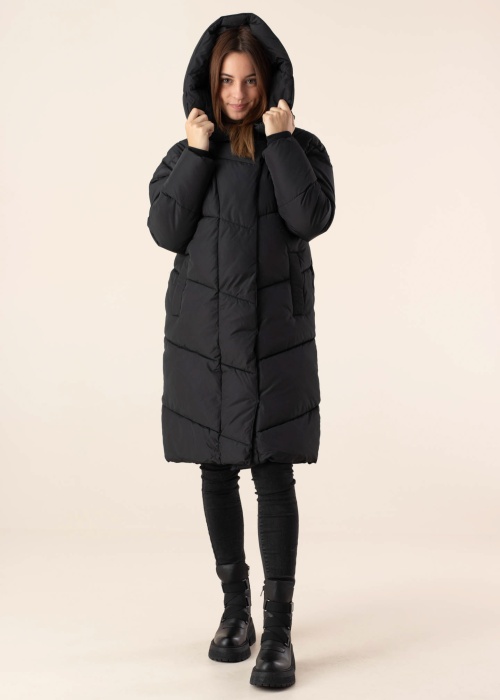 Noisy May ziemas metelis New