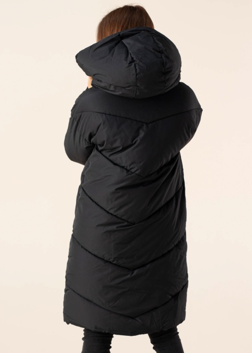 Noisy May ziemas metelis New