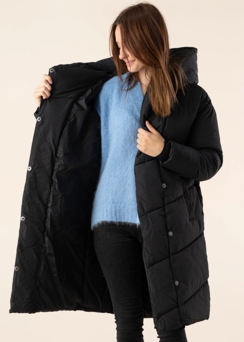 Noisy May ziemas metelis New