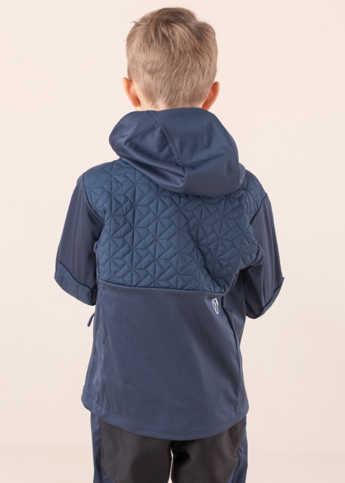 Didriksons pavasara-rudens virsjaka Briska