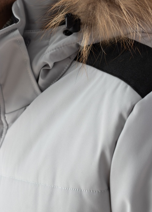 Huppa ziemas metelis Werner 1