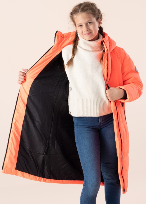 Huppa ziemas metelis Nina