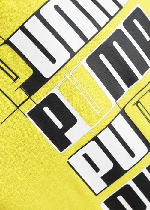 Кофта Ess логотип Lab Puma