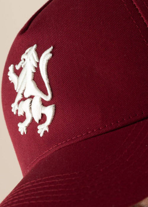 Кепка Gryffindor Diverse