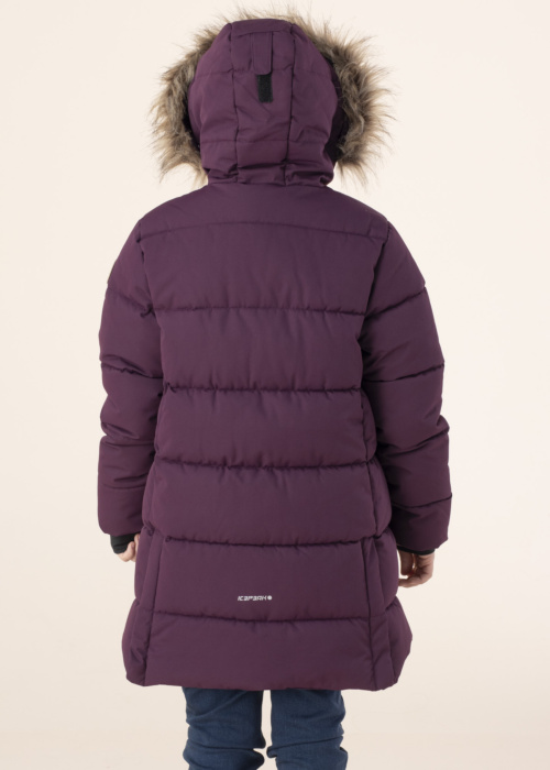 Icepeak ziemas metelis Keystone Jr