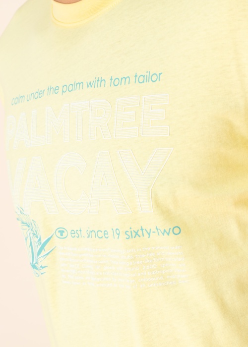 Футболка Tom Tailor